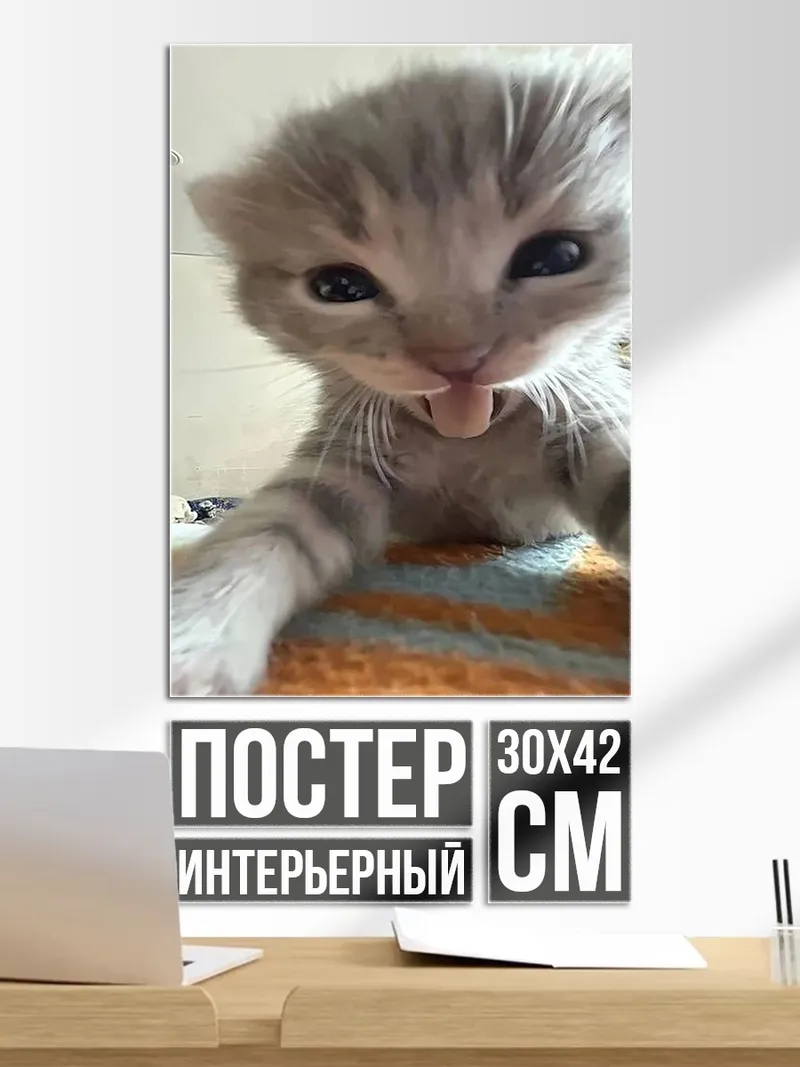 Постер Милый котенок