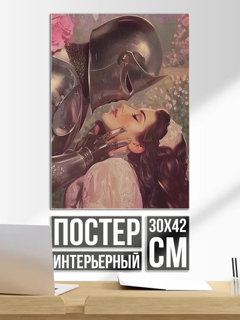 Постер Рыцарь и принцесса