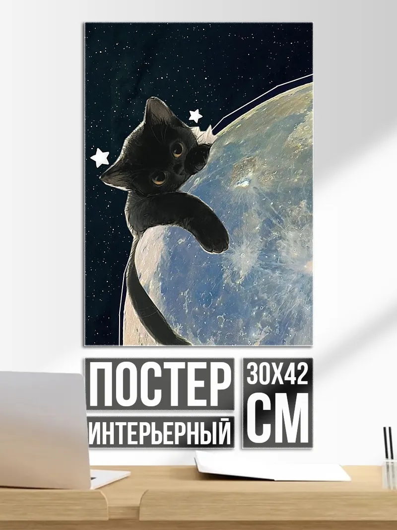 Постер Кот на планете