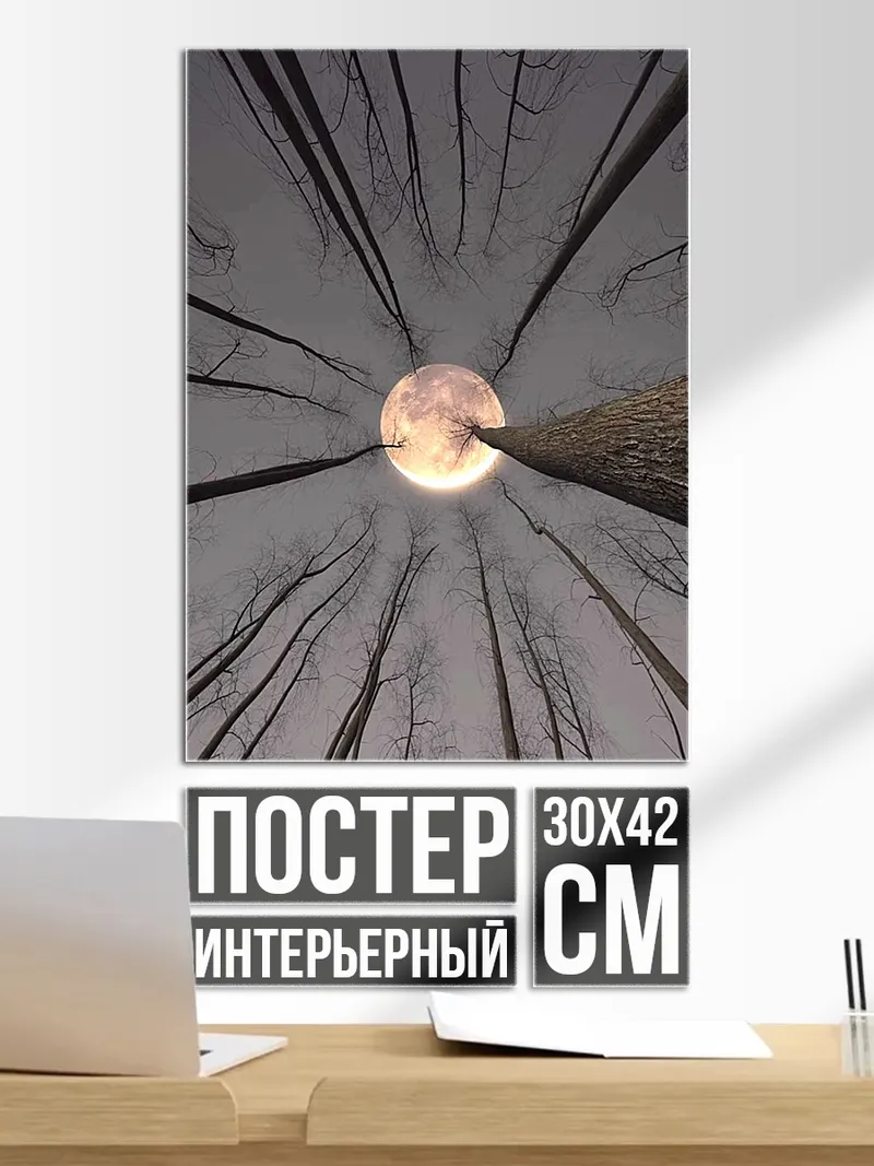 Постер Луна в лесу