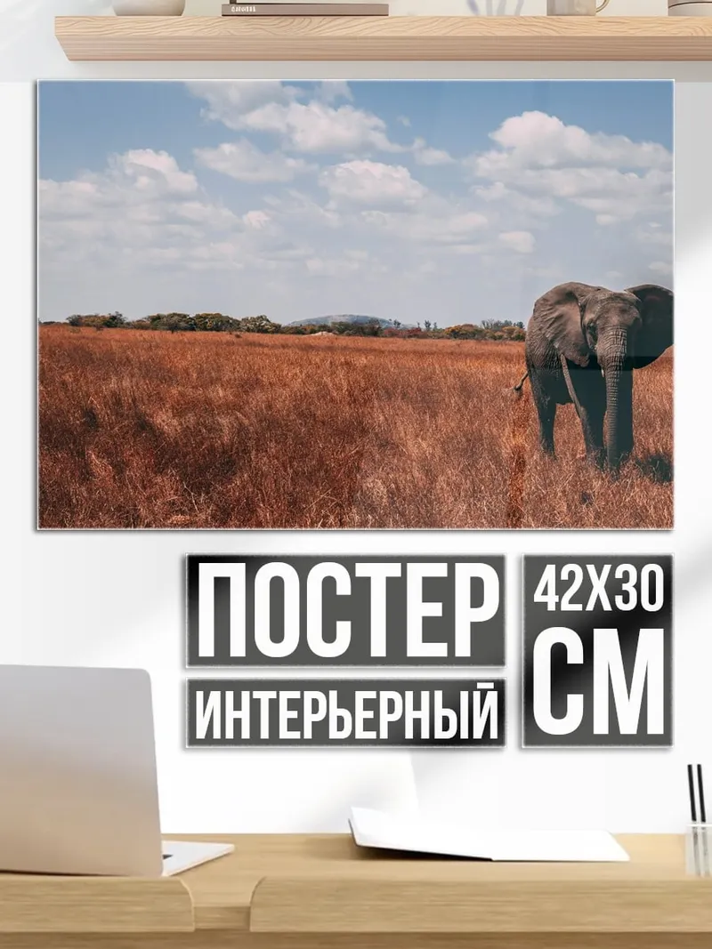 Постер Слон в саванне