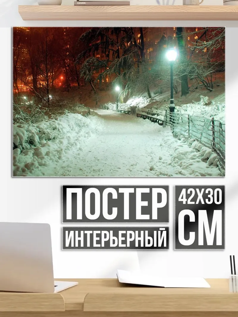 Постер Зимний парк ночью