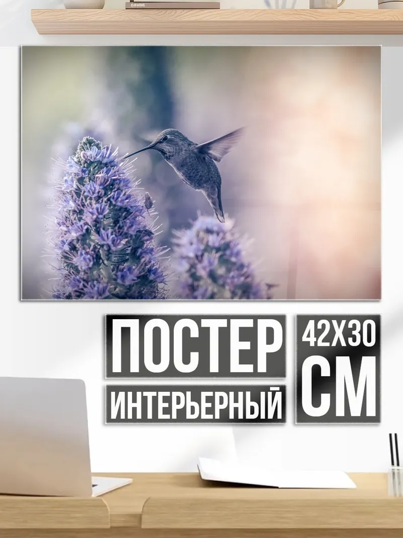 Постер Колибри и цветы