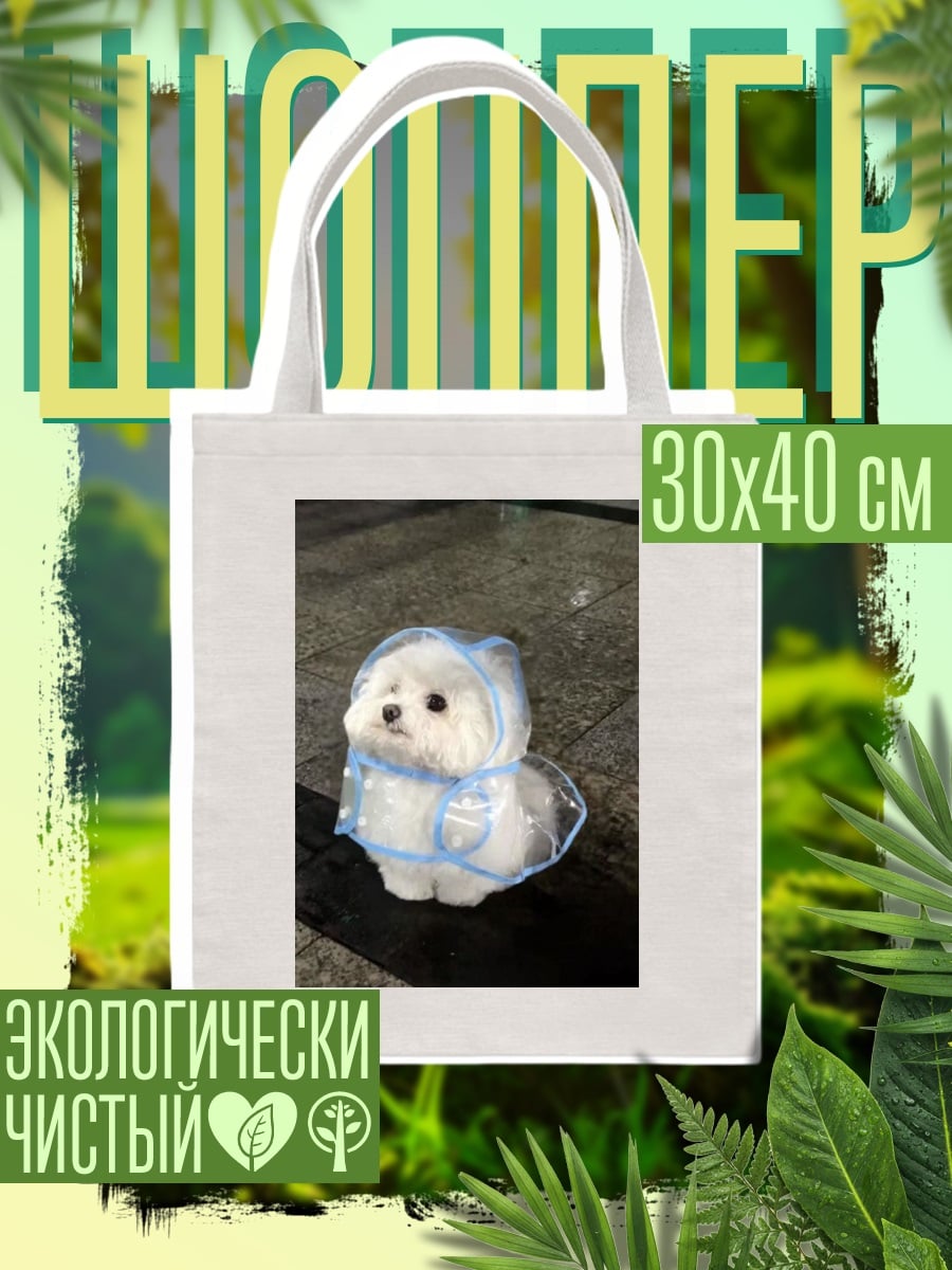 Шоппер Пудель в дождевике