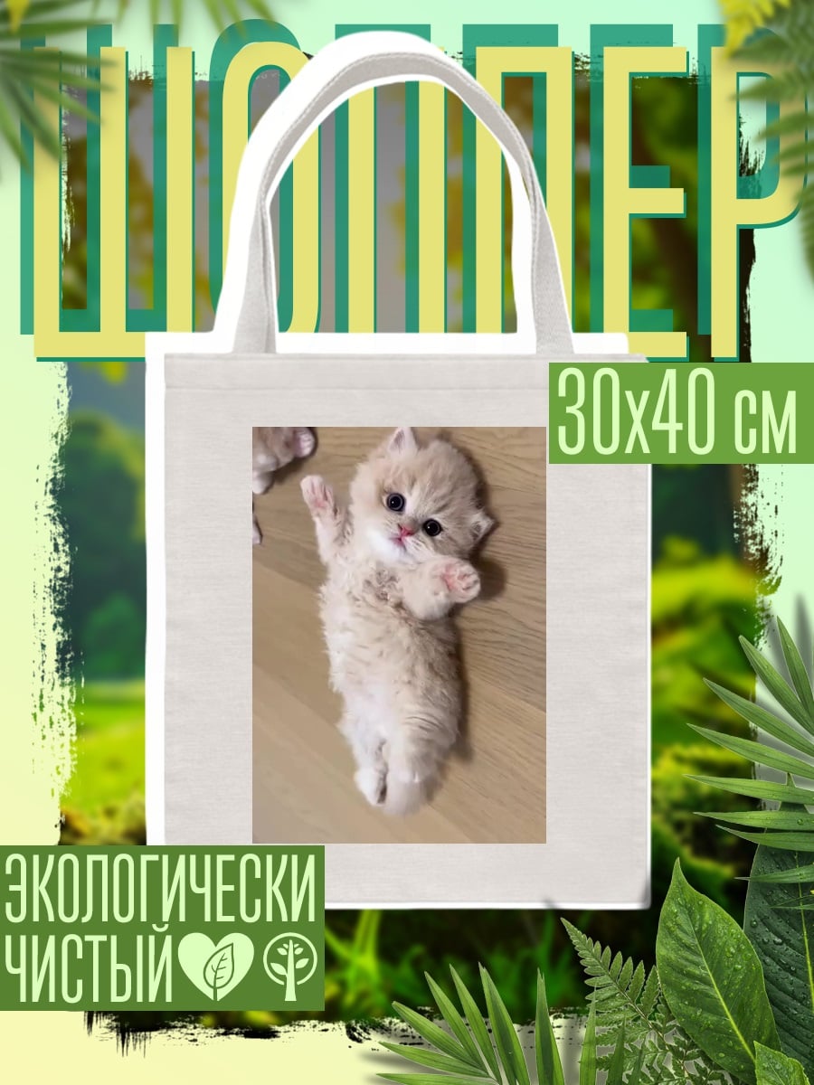 Шоппер Пушистый котенок лежит