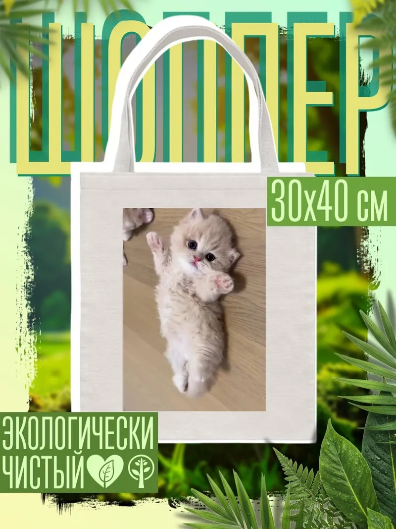 Шоппер Пушистый котенок лежит