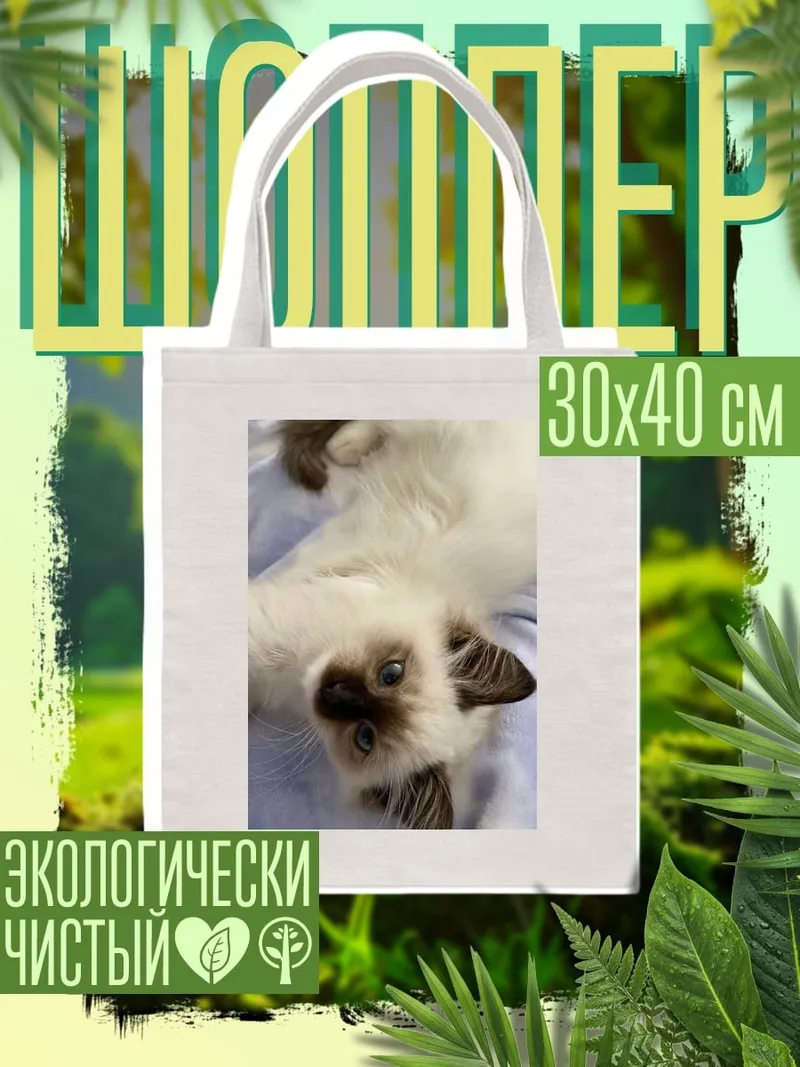 Шоппер Пушистый кот лежит