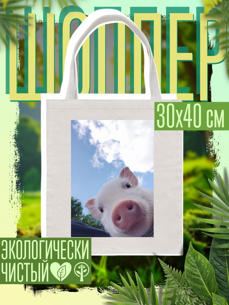 Шоппер Поросенок и небо