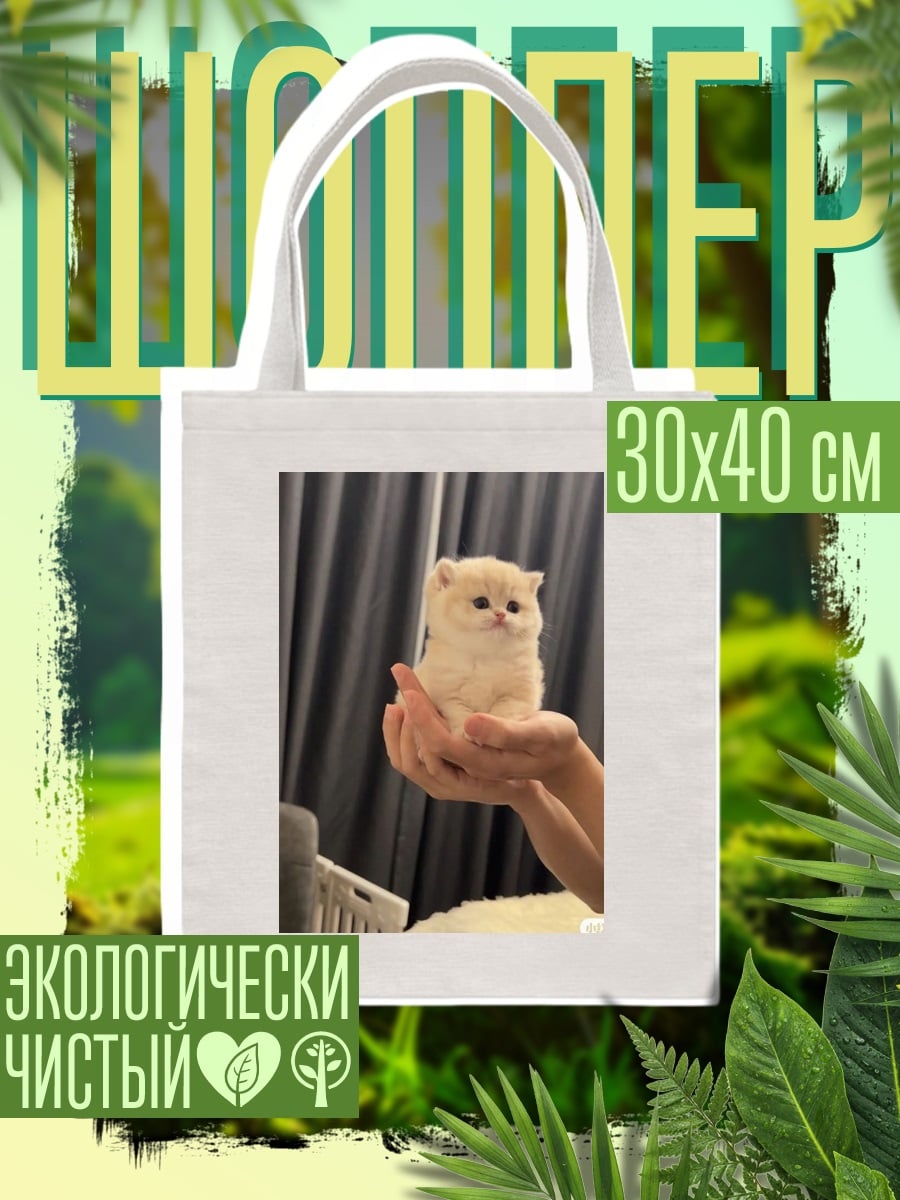 Шоппер Милый котенок в руках