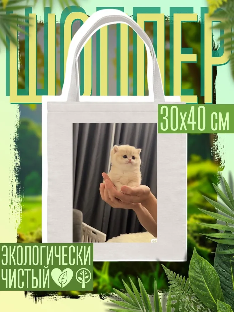 Шоппер Милый котенок в руках