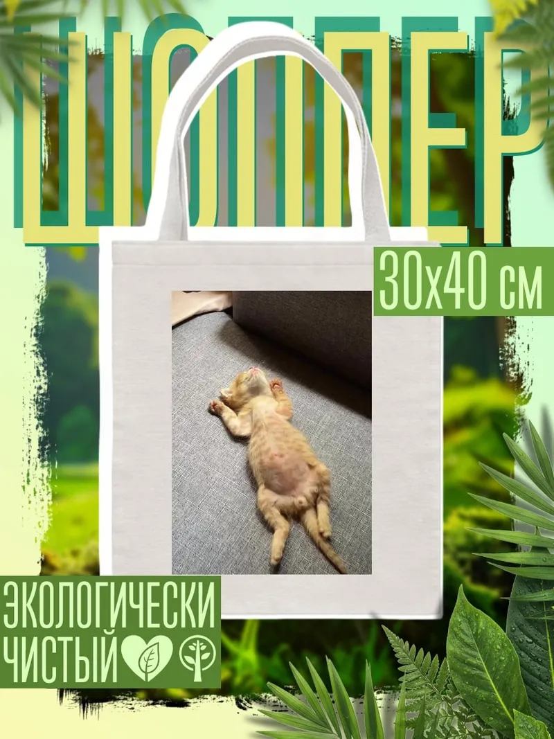 Шоппер Спящий кот