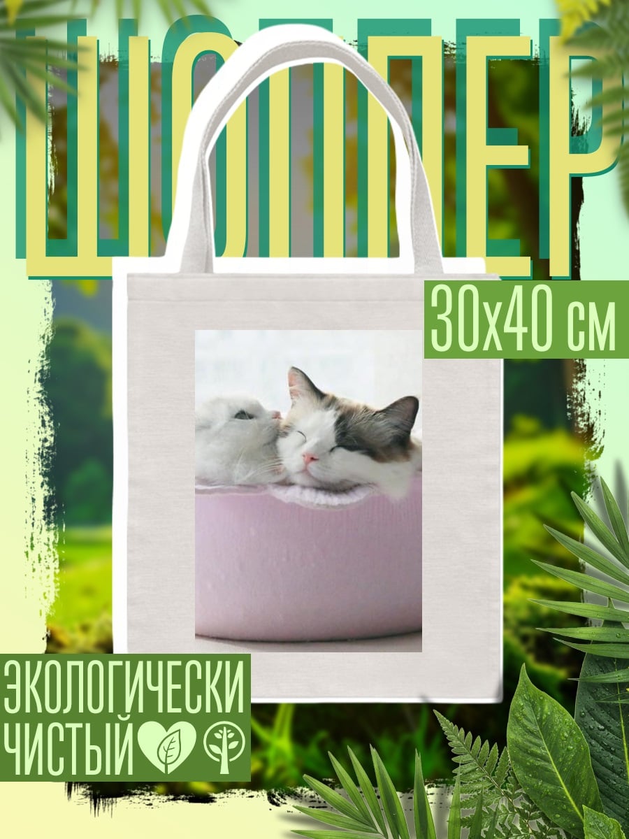 Шоппер Два котенка в корзинке
