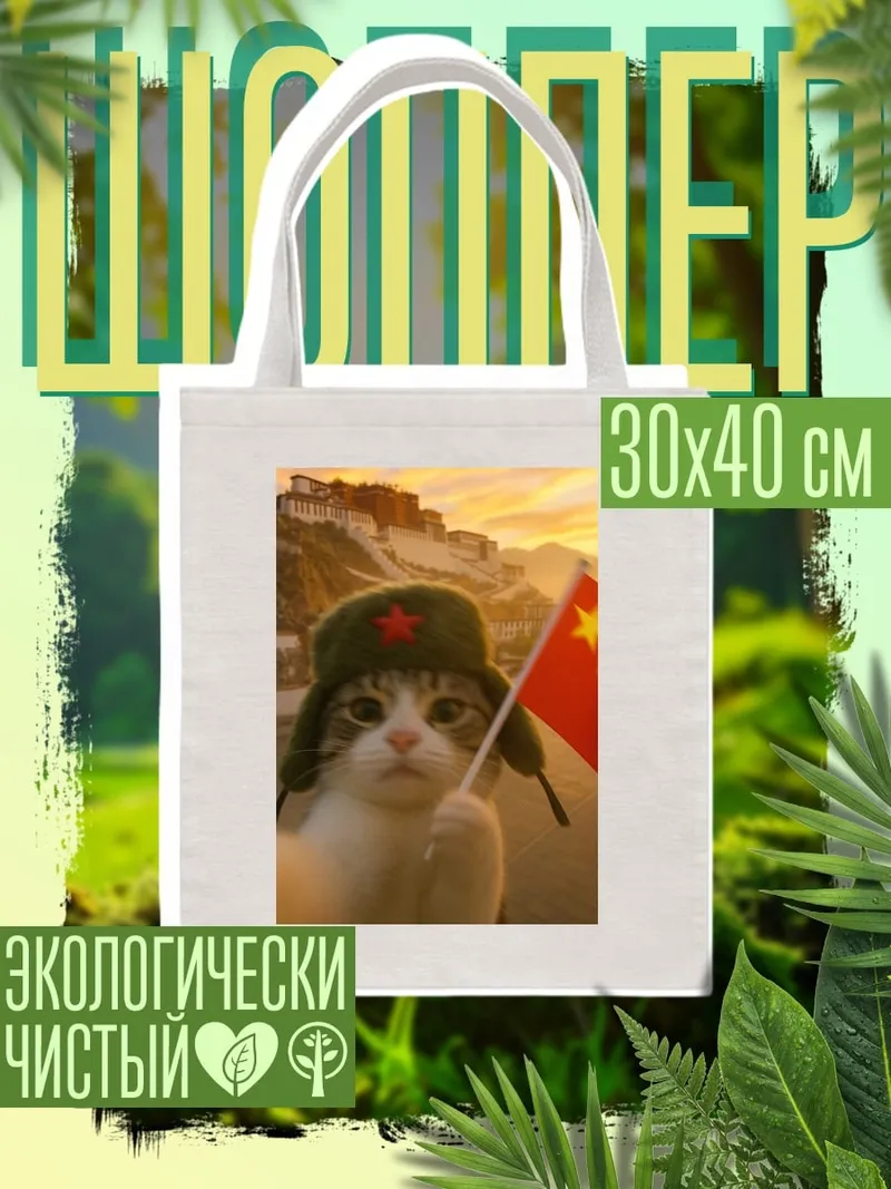 Шоппер Кот с китайским флагом