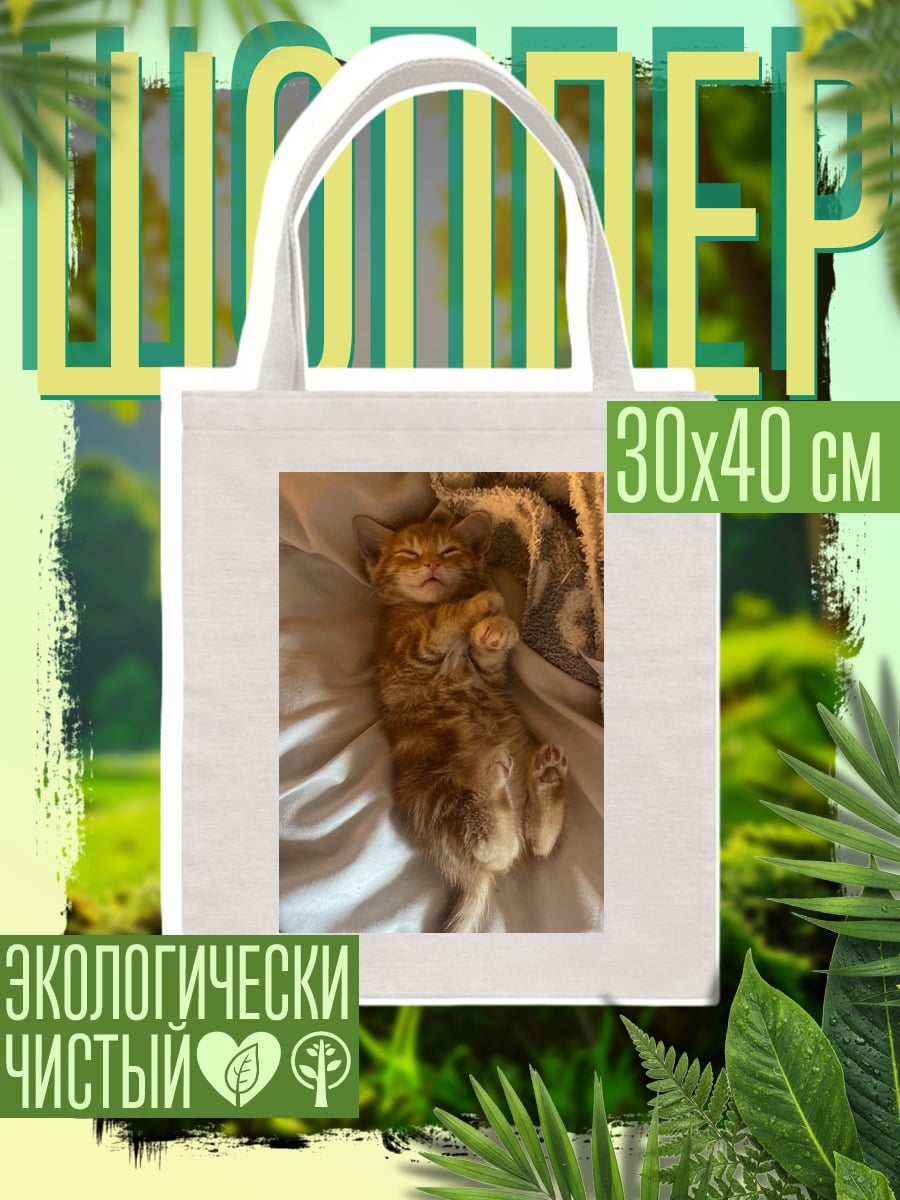 Шоппер Рыжий котенок спит