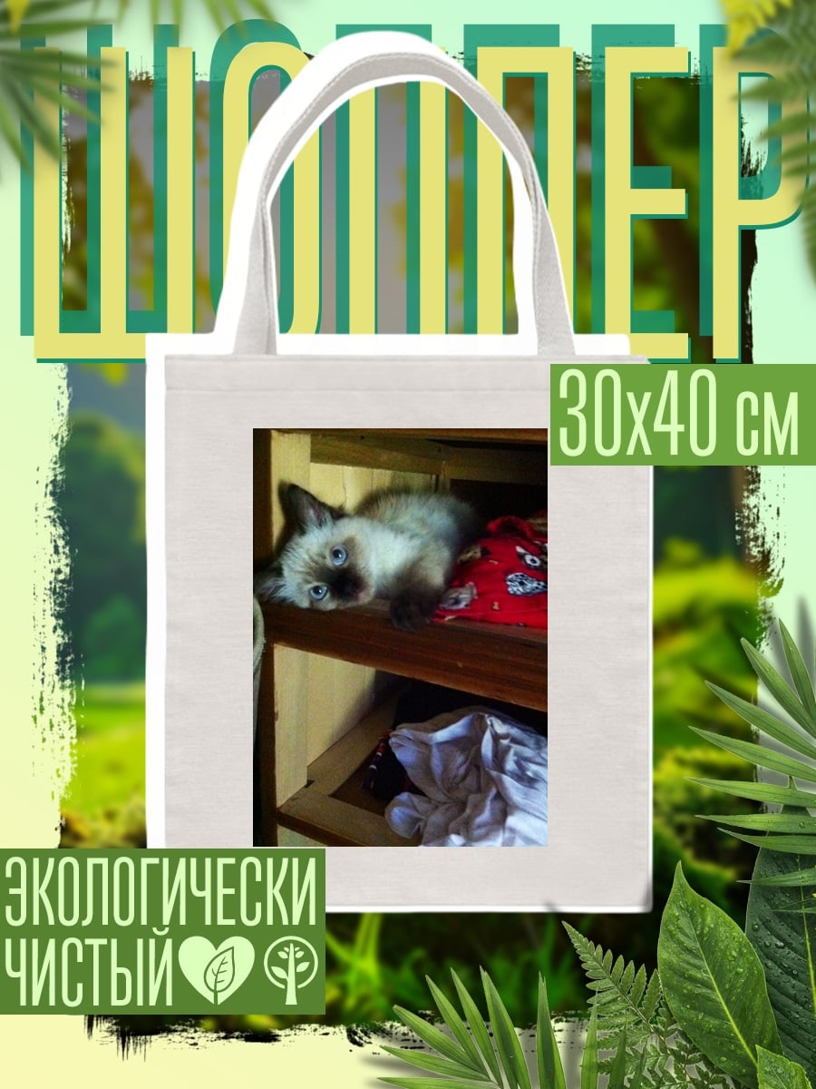 Шоппер Котёнок на полке