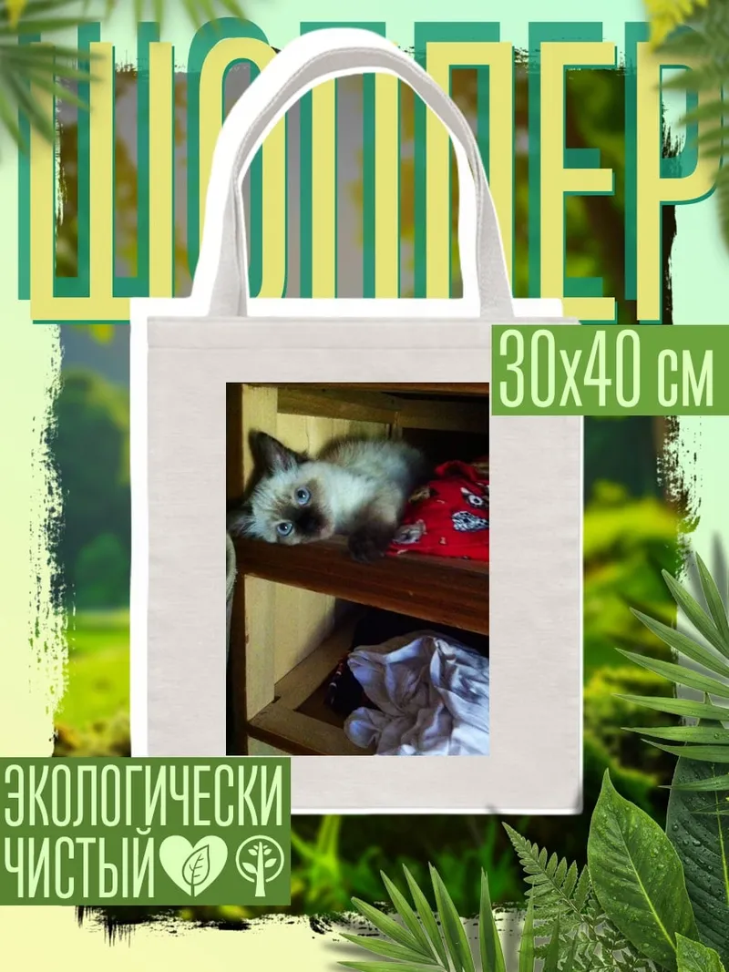Шоппер Котёнок на полке