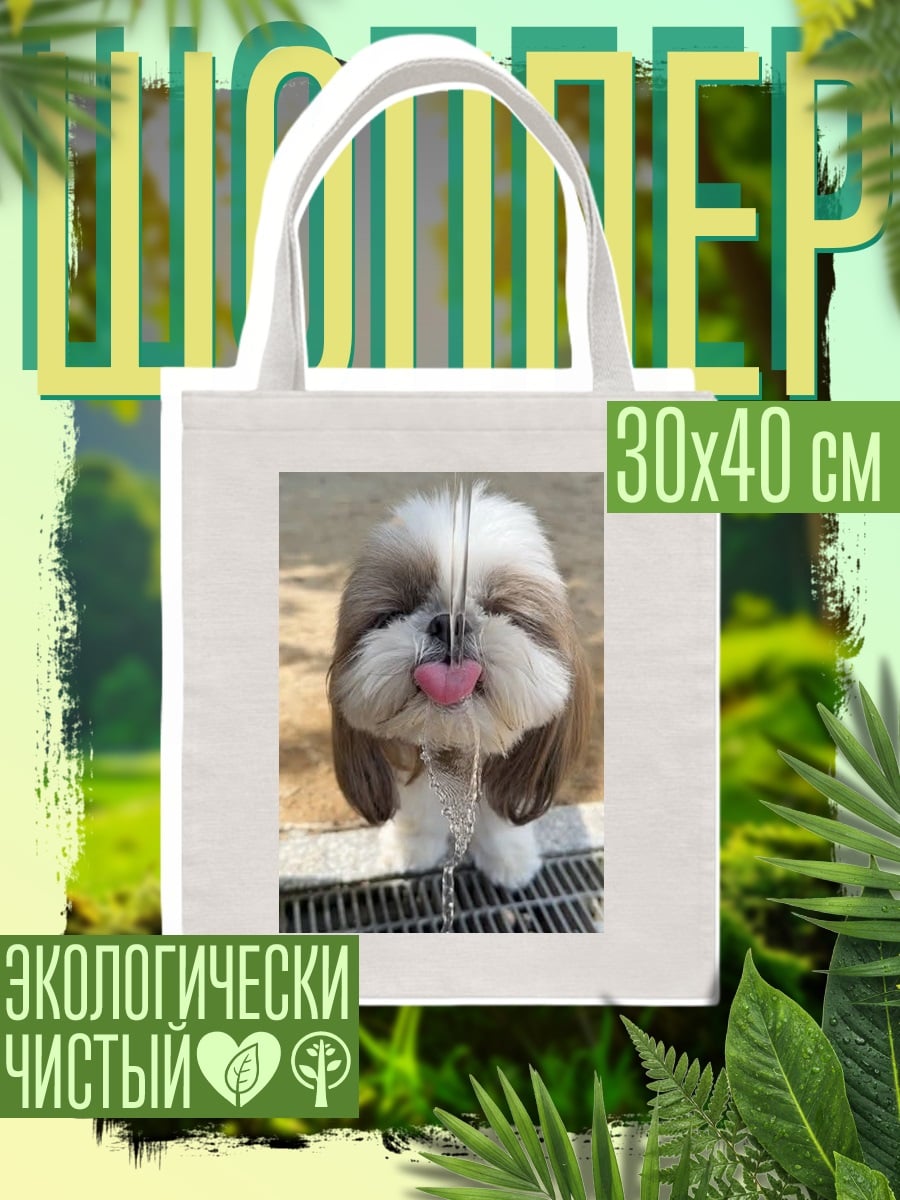 Шоппер Шиба ину пьет воду