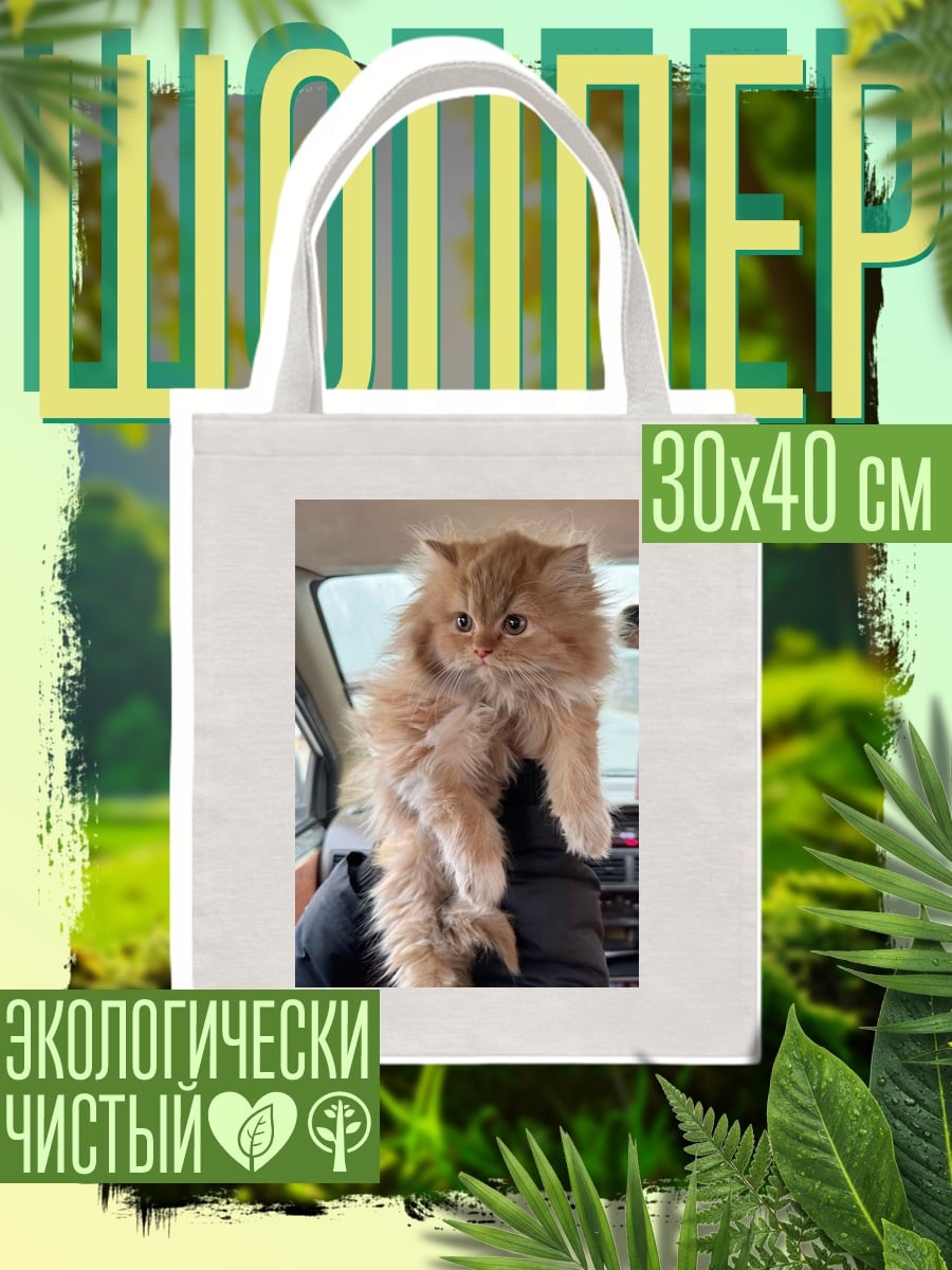 Шоппер Рыжий пушистый котенок