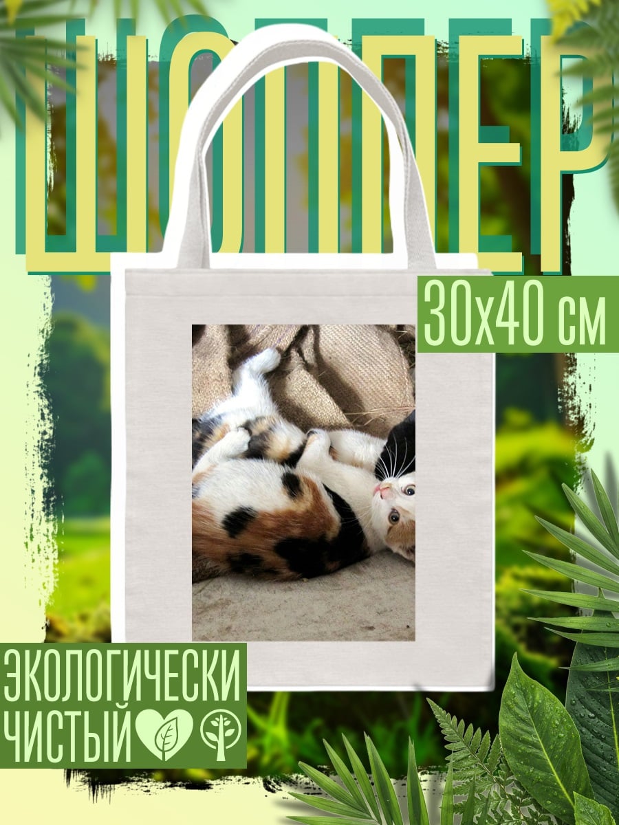 Шоппер Трехцветная кошка лежит