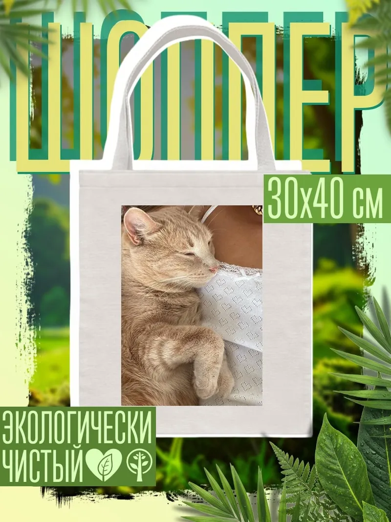 Шоппер Спящий кот