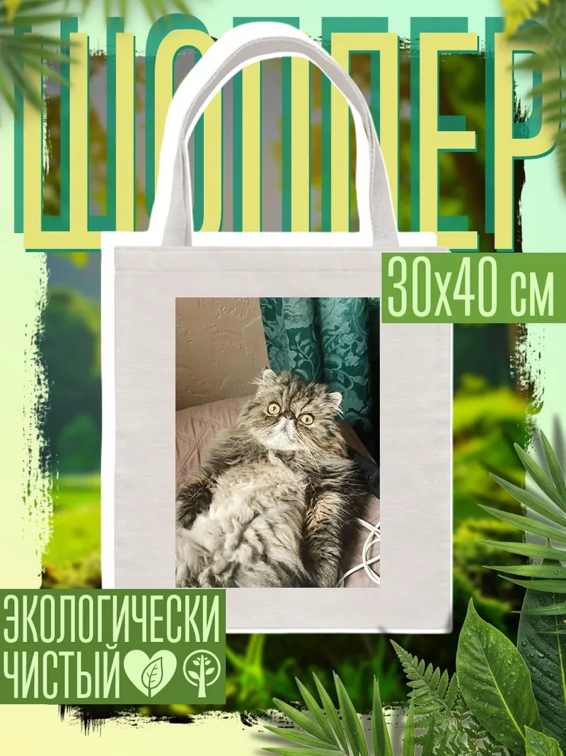 Шоппер Пушистый кот на диване