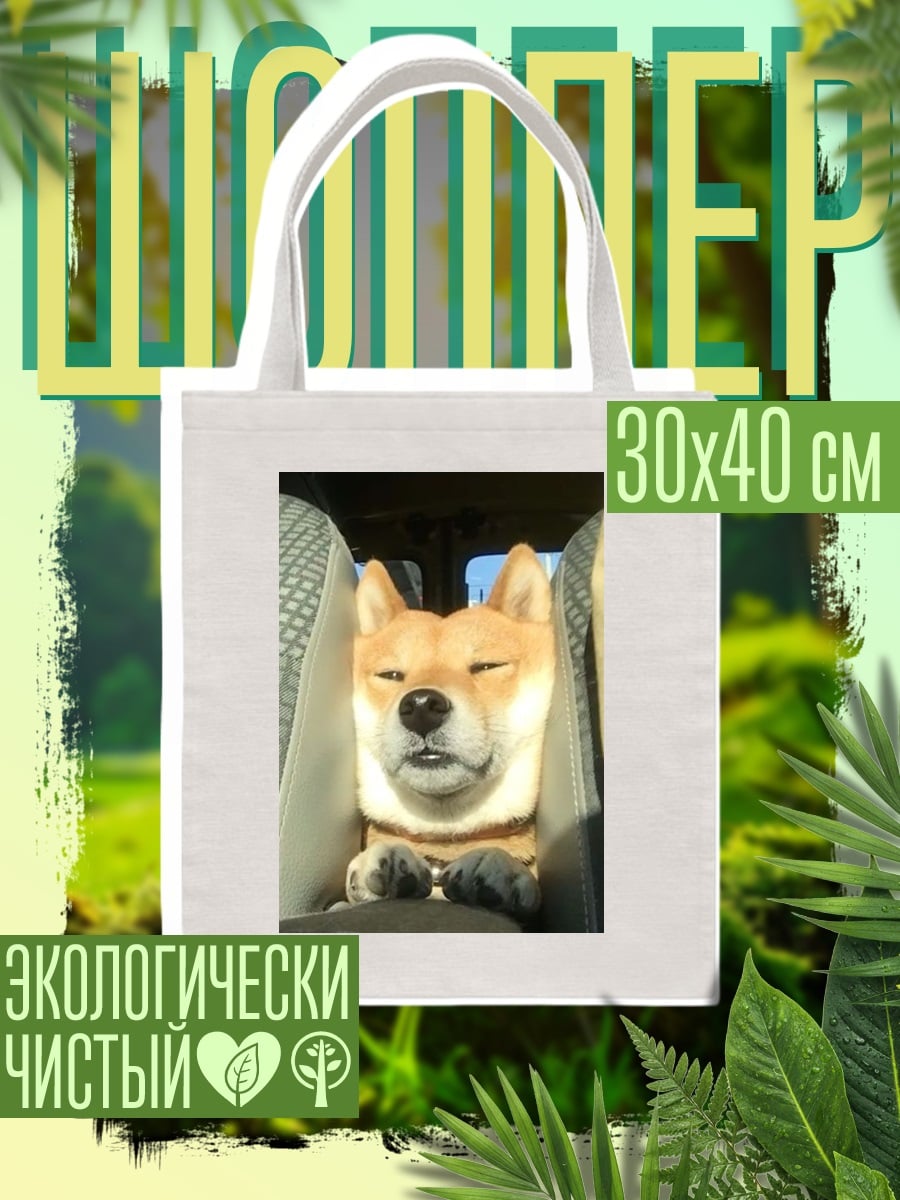 Шоппер Шиба ину в машине