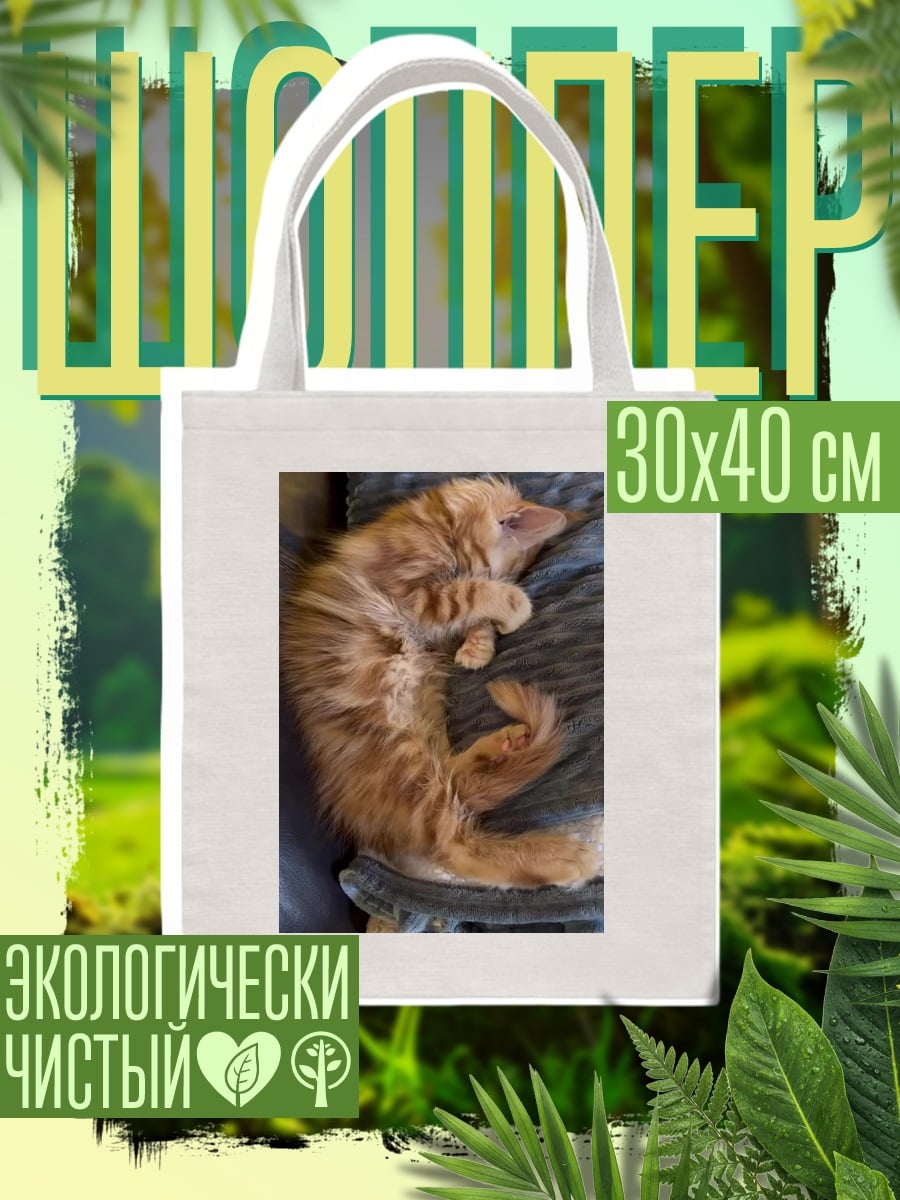 Шоппер Спящий рыжий кот