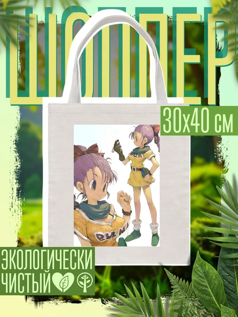 Шоппер Булма из Dragon Ball