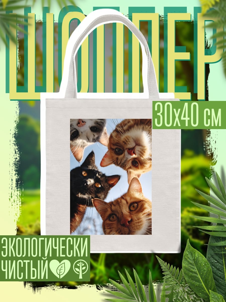 Шоппер Четыре котенка смотрят вверх