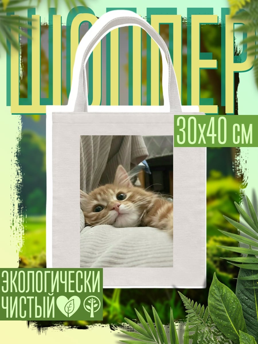 Шоппер Рыжий котенок на руках
