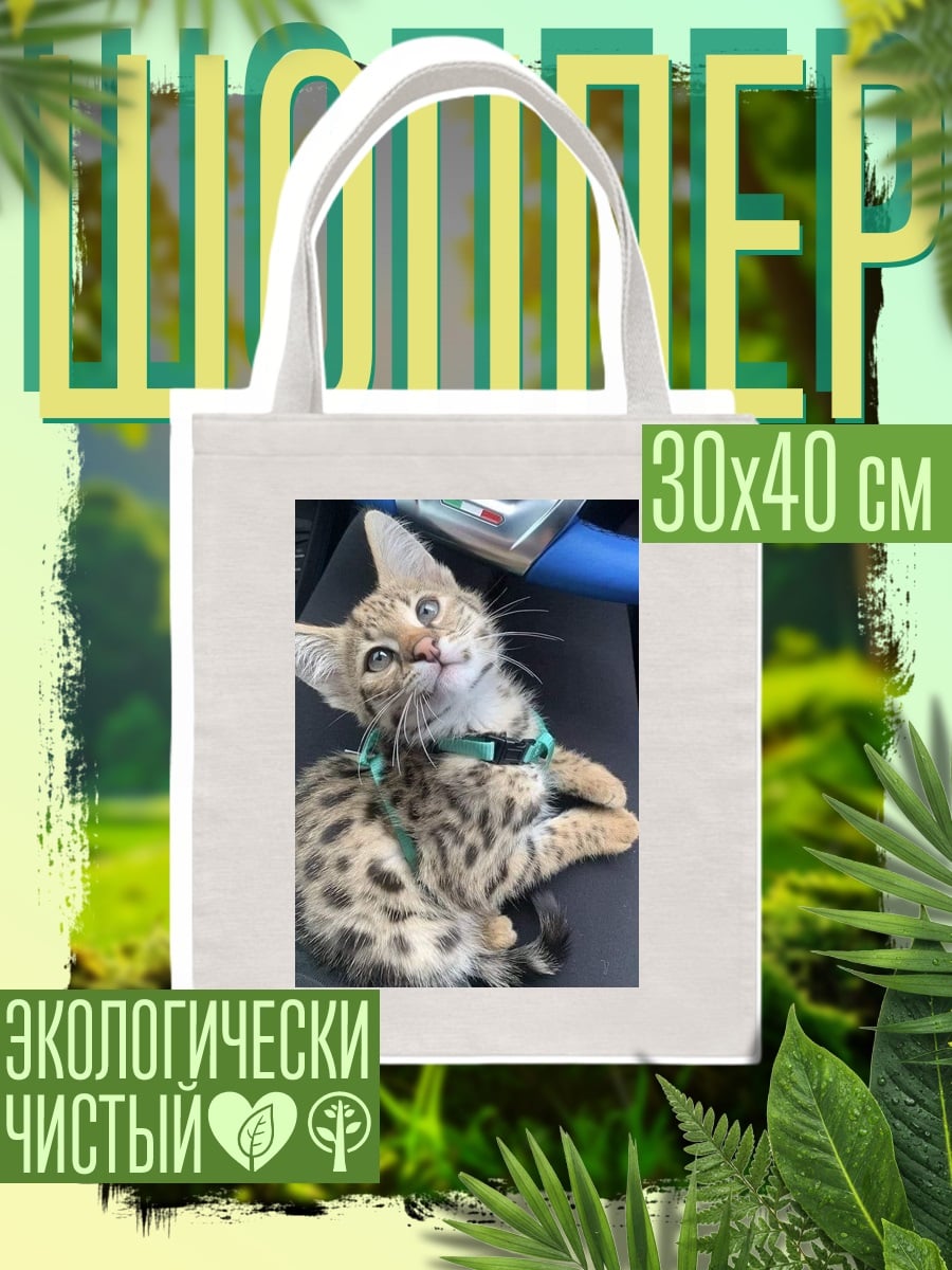 Шоппер Котёнок бенгал в машине