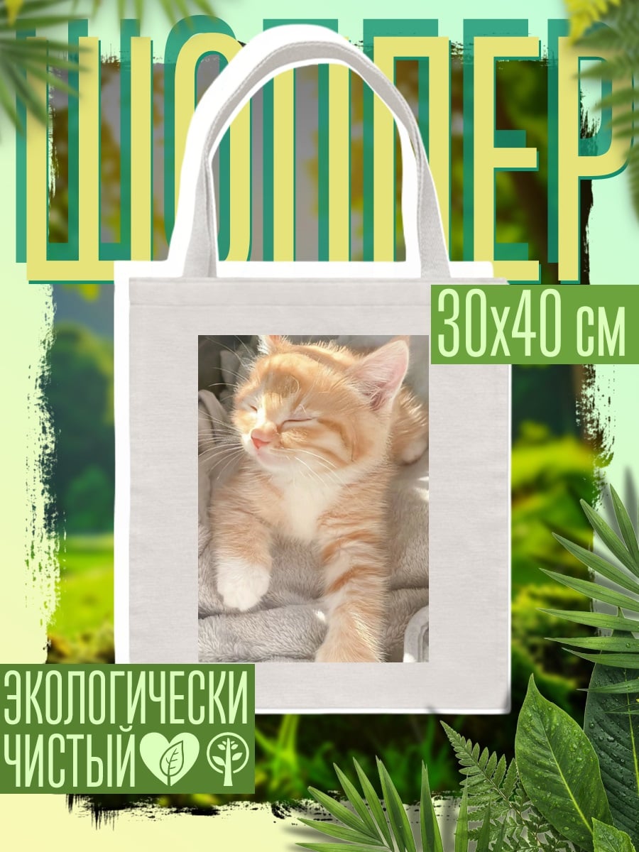 Шоппер Рыжий котенок спит