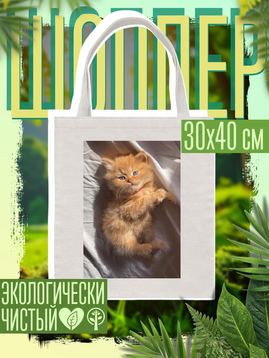 Шоппер Рыжий котенок спит