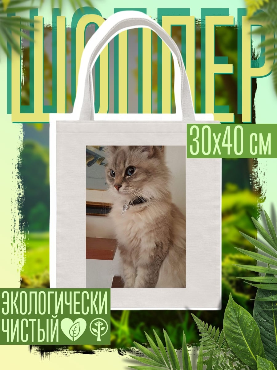 Шоппер Пушистый кот сидит
