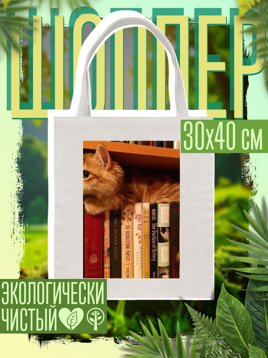Шоппер Кот на книжной полке
