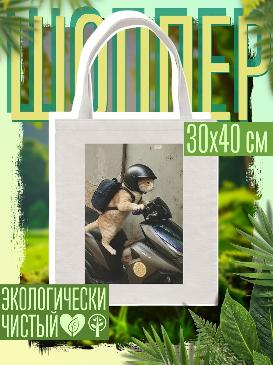 Шоппер Кот на скутере
