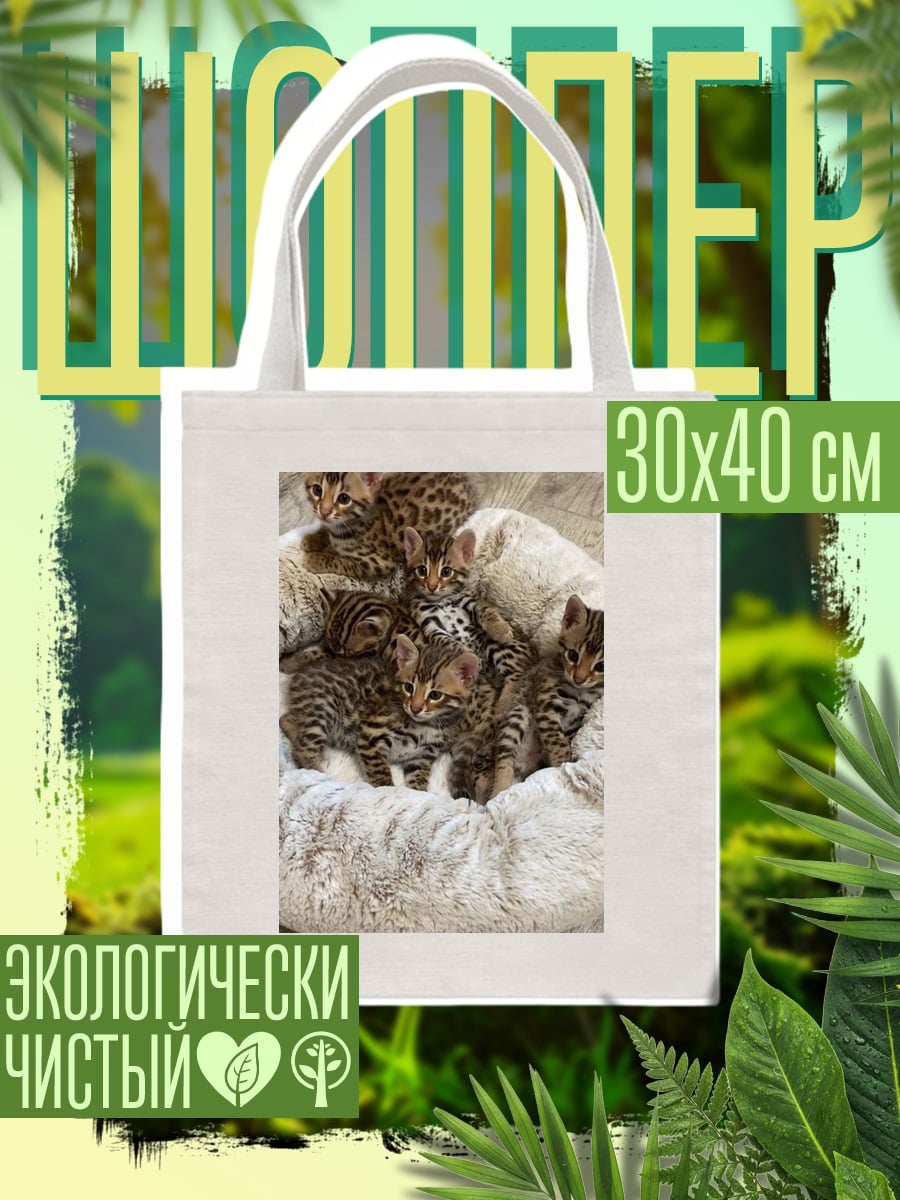 Шоппер Котята бенгалы на подушке