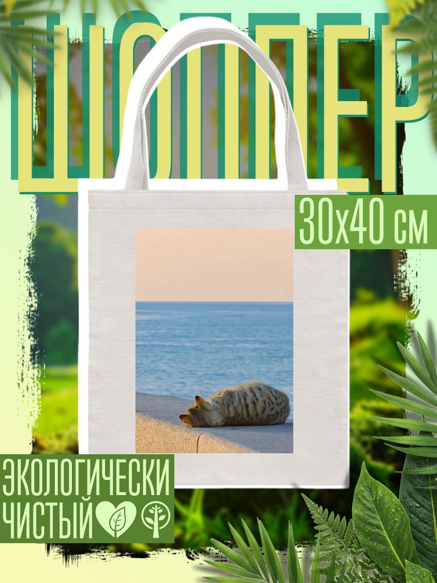 Шоппер Кот спит у моря