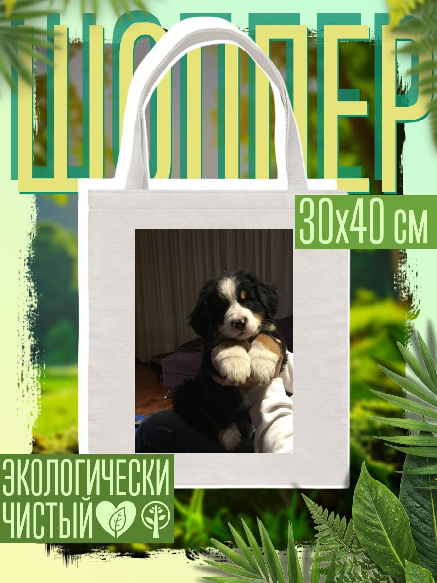 Шоппер щенок бернского зенненхунда