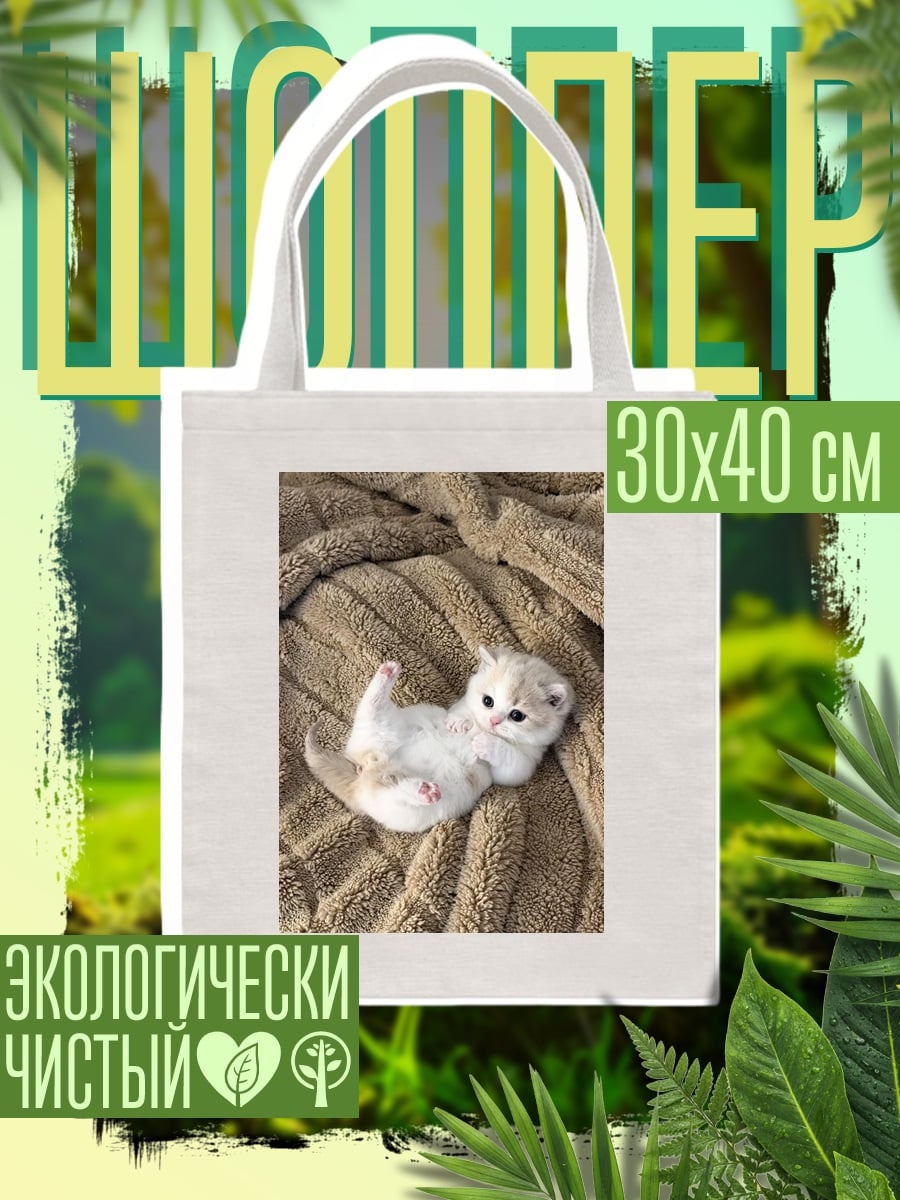 Шоппер Милый котенок лежит