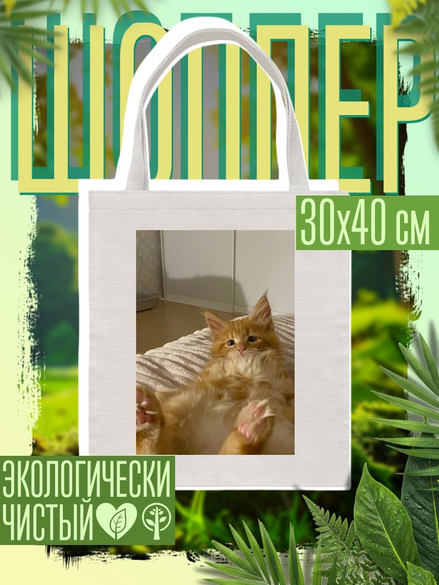 Шоппер Рыжий кот лежит