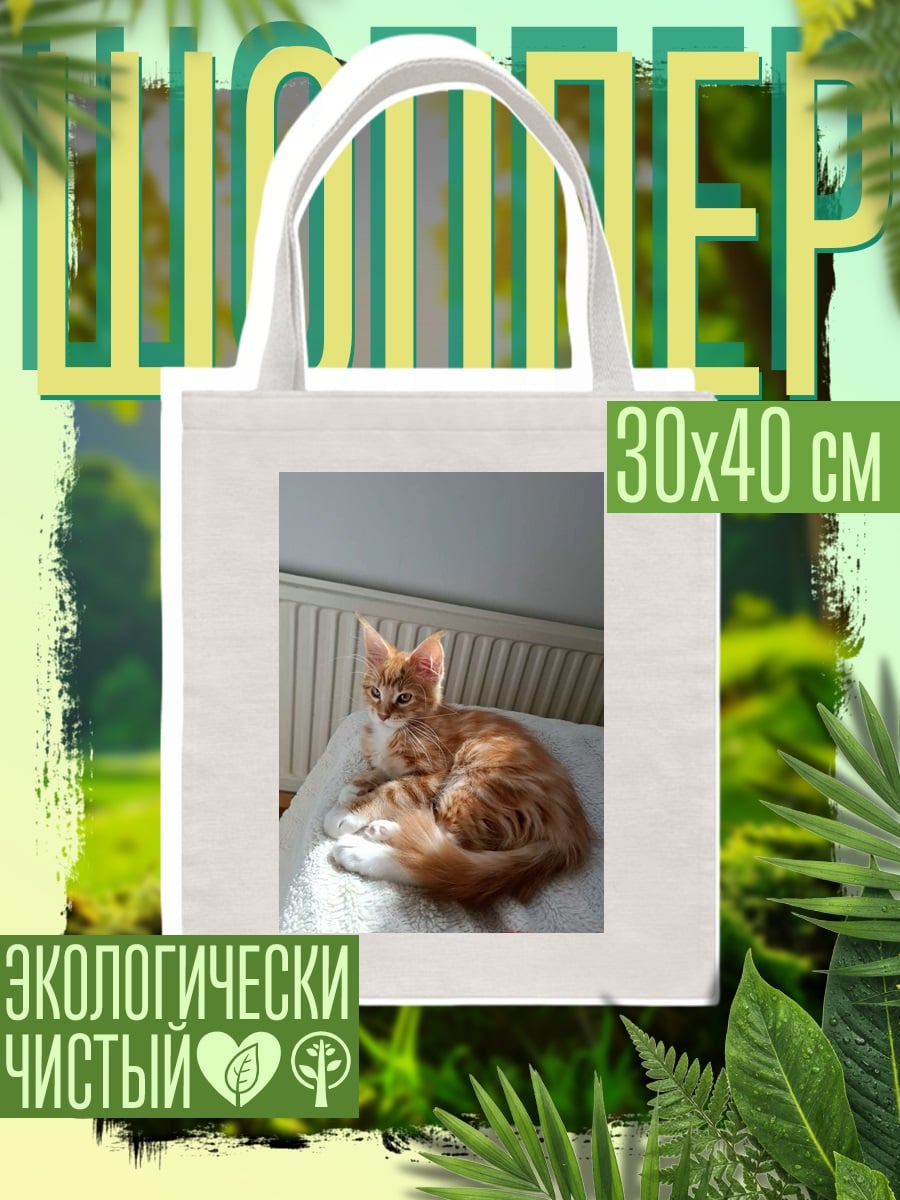 Шоппер Рыжий котенок греется