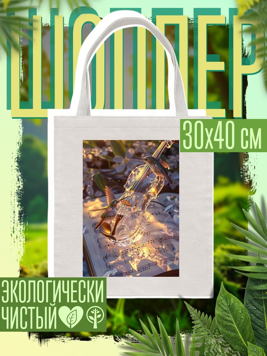 Шоппер Скрипичный концерт света