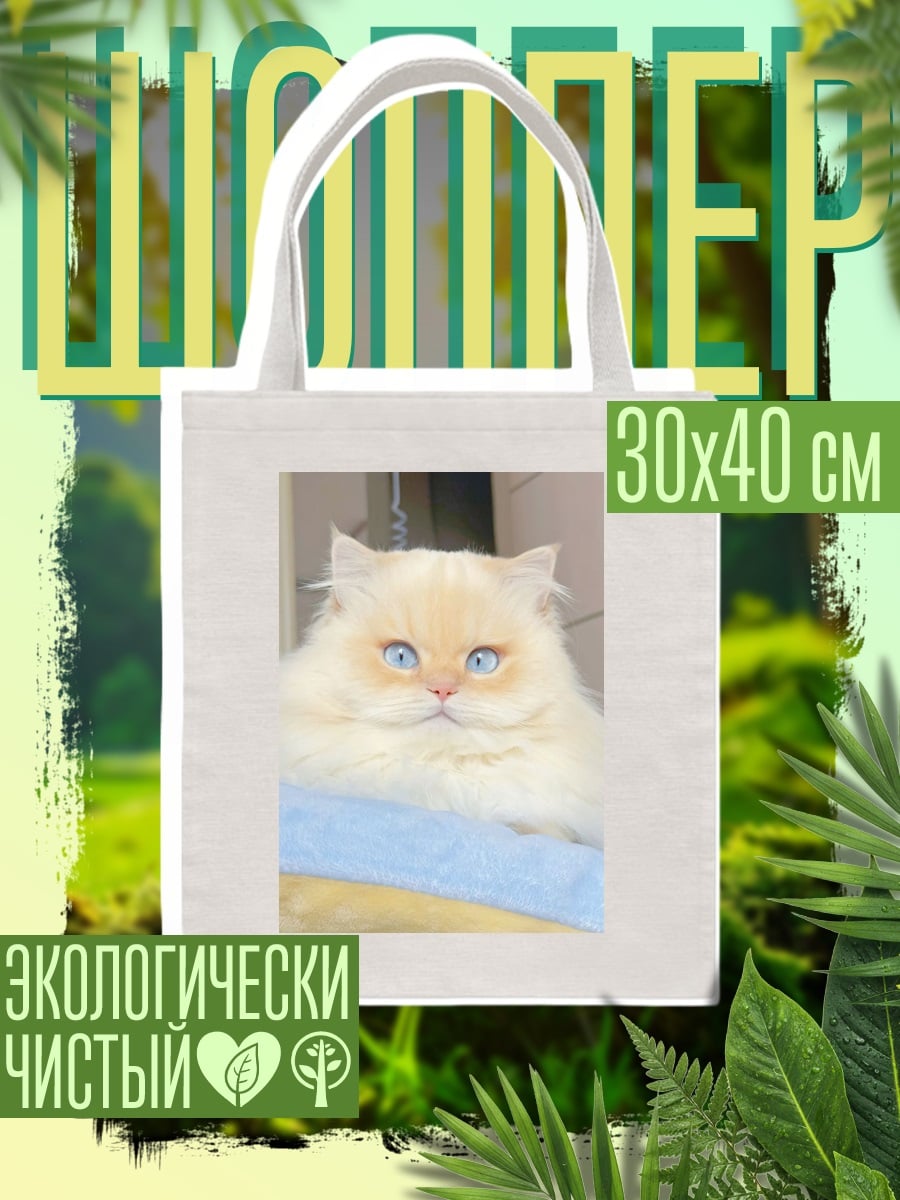Шоппер Пушистый кот с голубыми глазами
