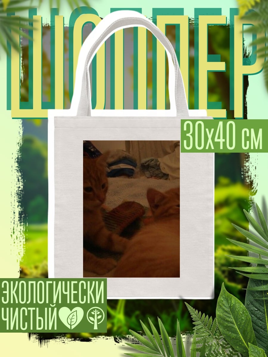Шоппер Рыжие котята отдыхают