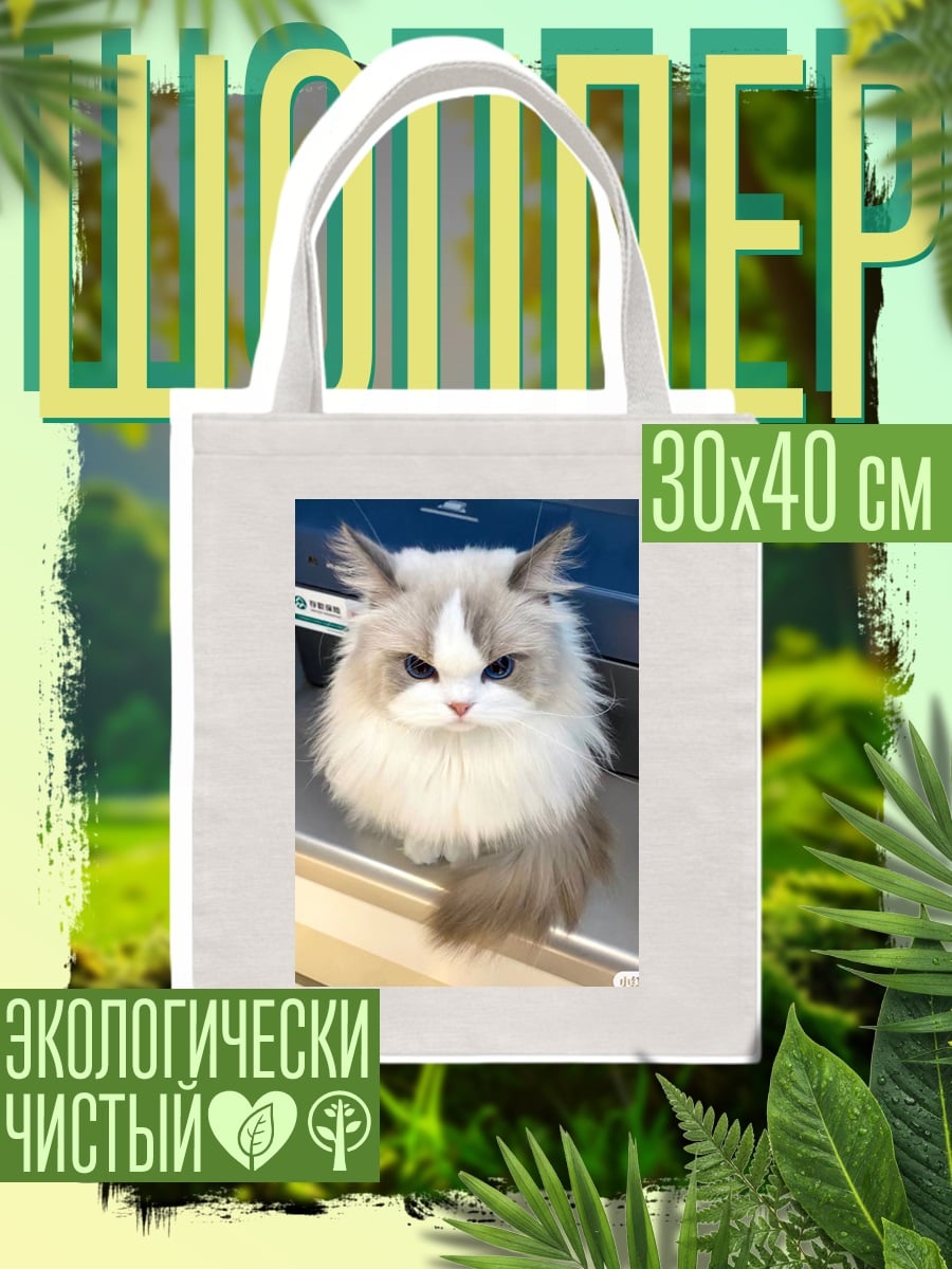 Шоппер Сердитый кот породы рэгдолл