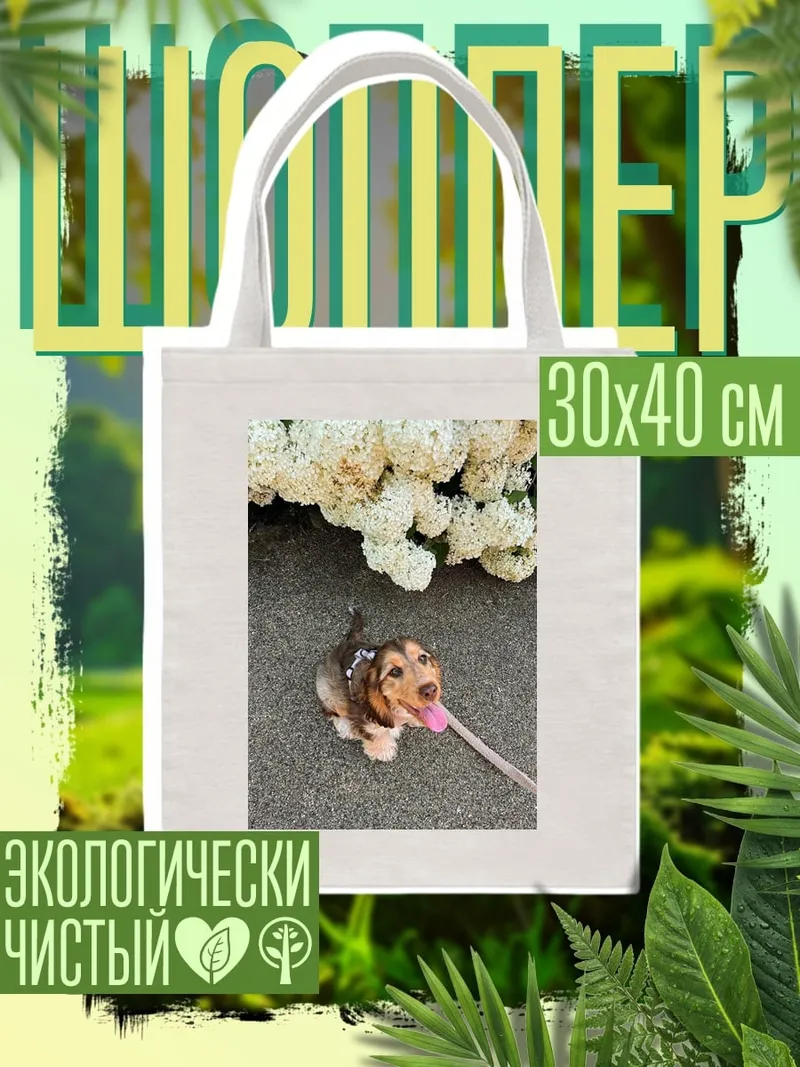 Шоппер Такса на поводке
