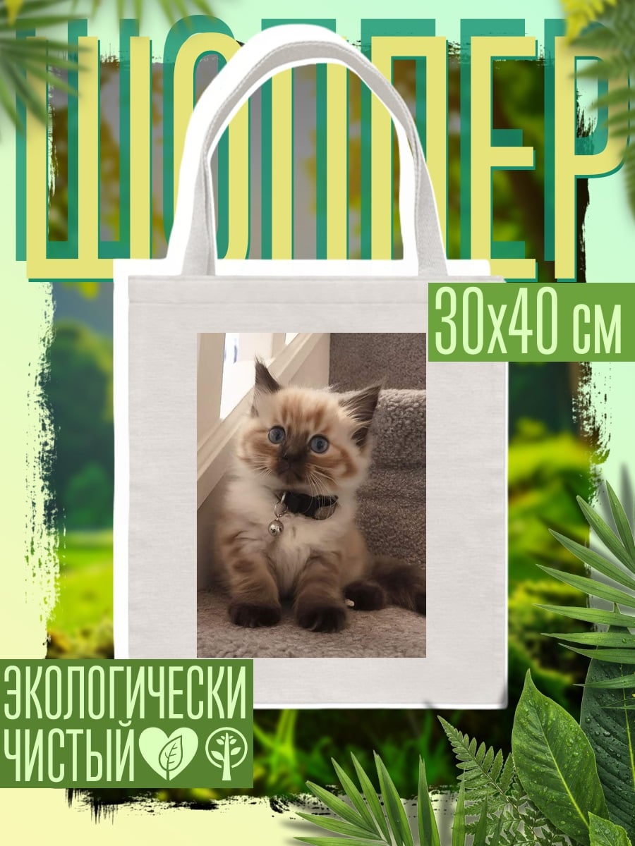 Шоппер котенок на лестнице