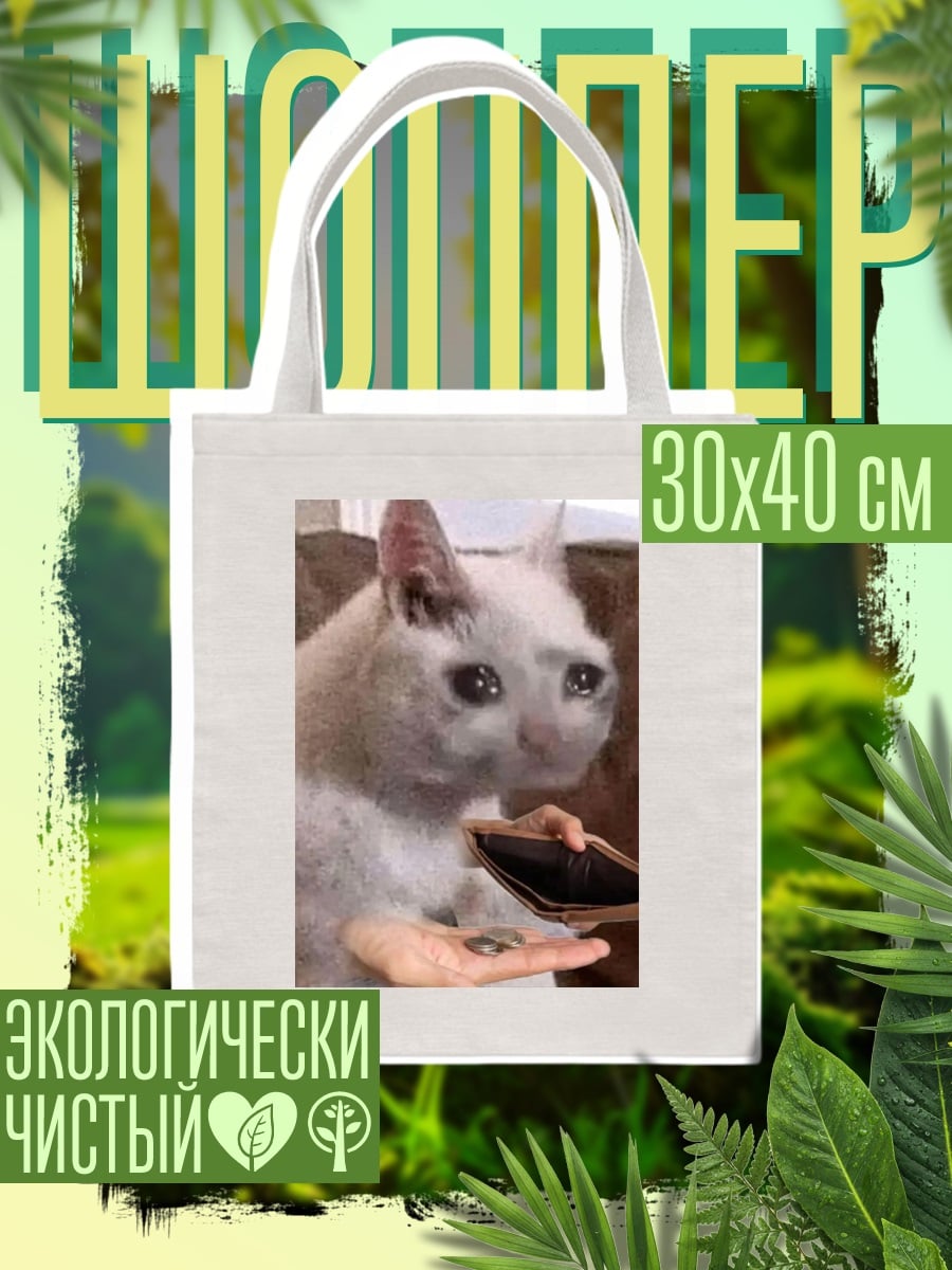 Шоппер Грустный кот с деньгами
