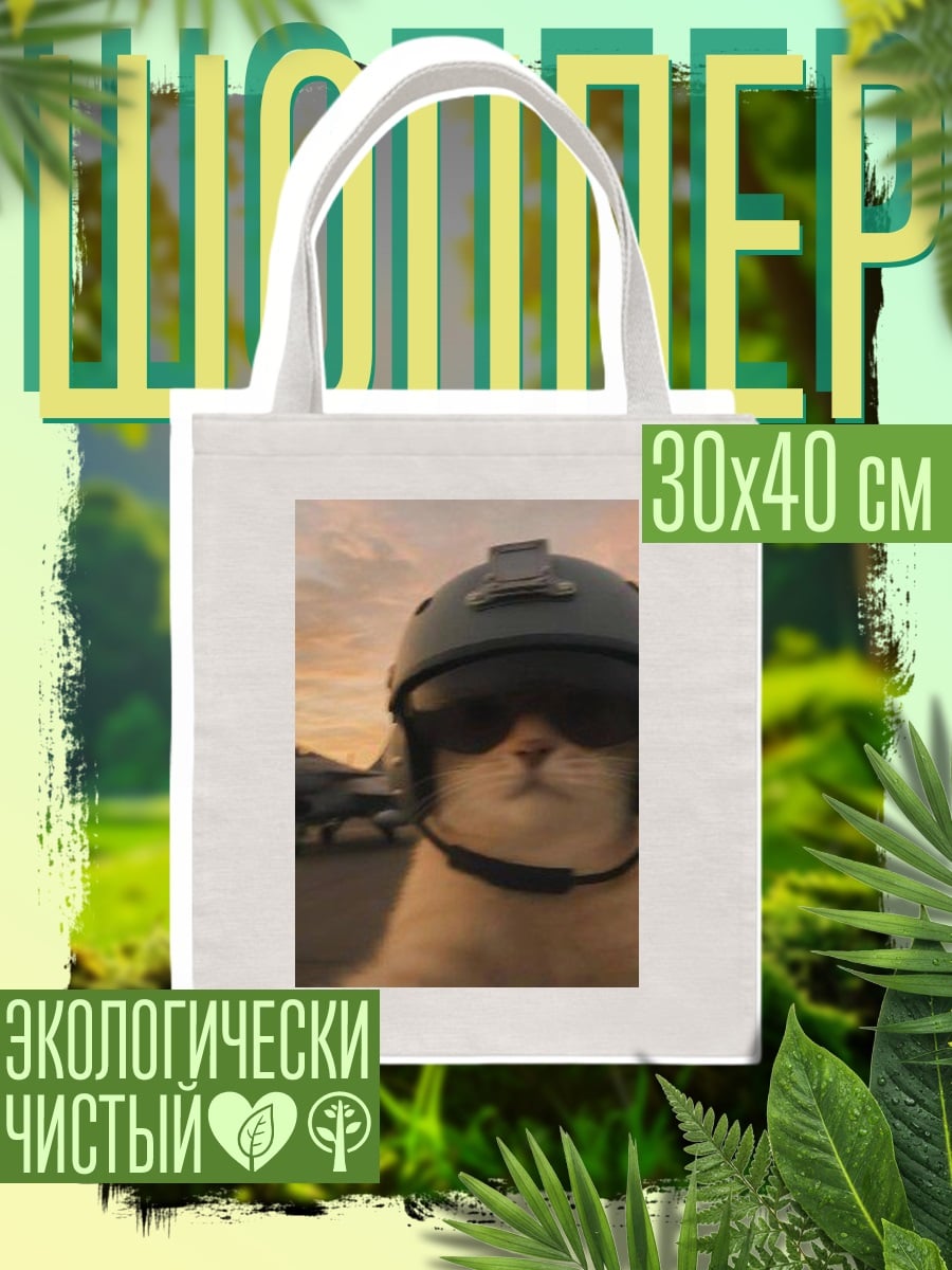Шоппер Кот пилот самолета